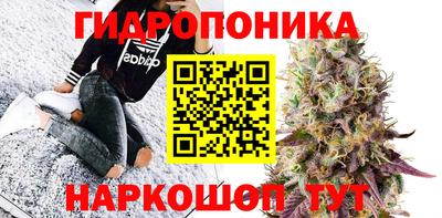 PSILOCYBIN Малгобек