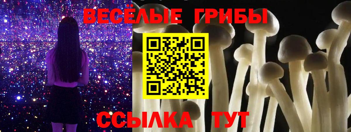 Галлюциногенные грибы GOLDEN TEACHER Грязи